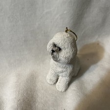 White Maltese Bichon Frise