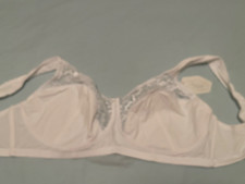 ladies white shapely figures