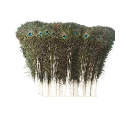 Natural peacock feathers - natural,