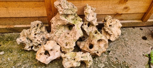 Aquarium ocean rock - aquarium,