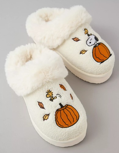 Fall peanuts snoopy - ae,