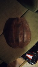 Real Snapping Turtle Shell
