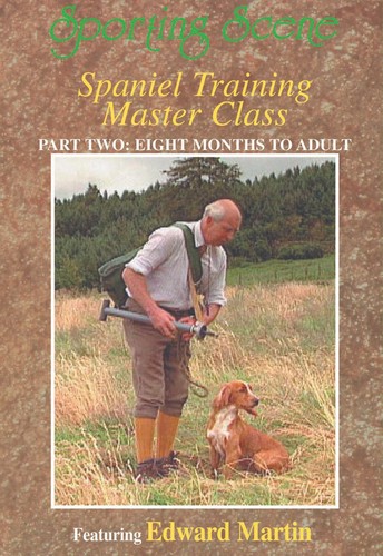 Spaniel training master class - spaniel,