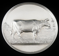 Sterling Silver Houston