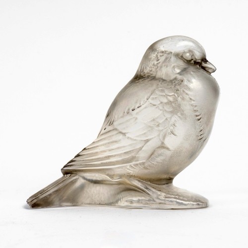 Sparrow proud glass - sparrow,