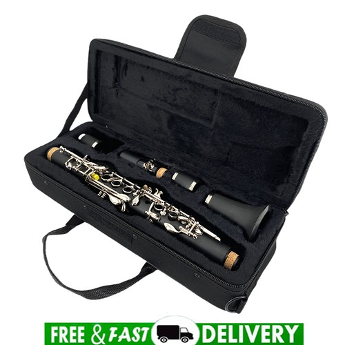 Professional clarinet ebonite - clarinet,