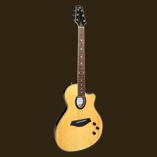 Aslin Dane Icosa 6 string