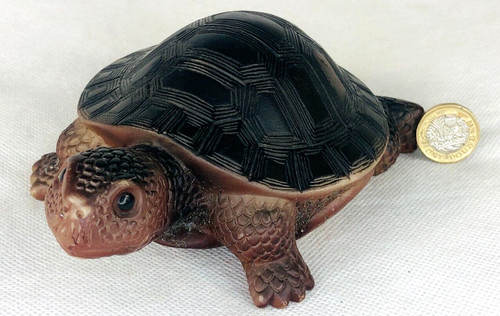 Turtle tortoise animal action - tortoise,