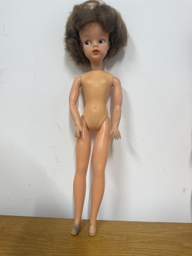 Vintage pedigree sindy doll - pedigree,