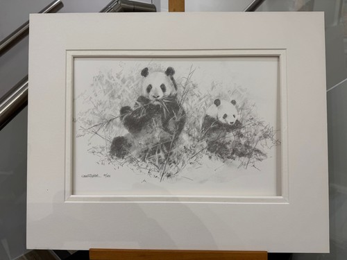 David shepherd panda - david,