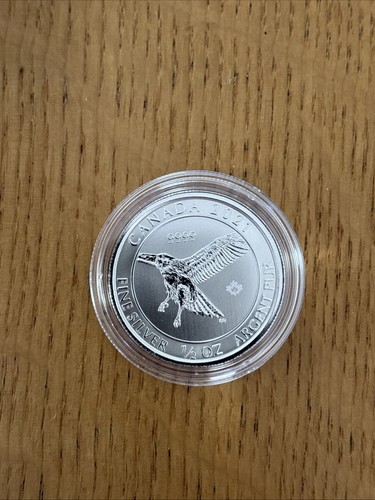 2021 silver canadian - 2021,