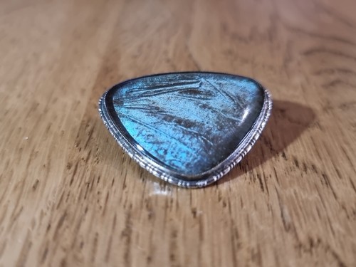 Antique butterfly wing - wing, brooch