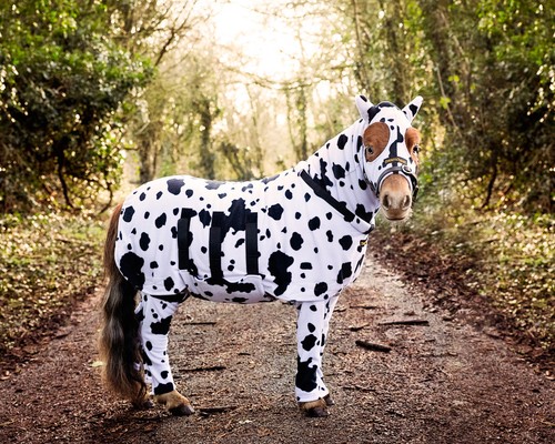 Horse all one - all, fleece