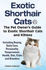 Exotic Shorthair Cats The Pet Owner..., Anderson, Colet