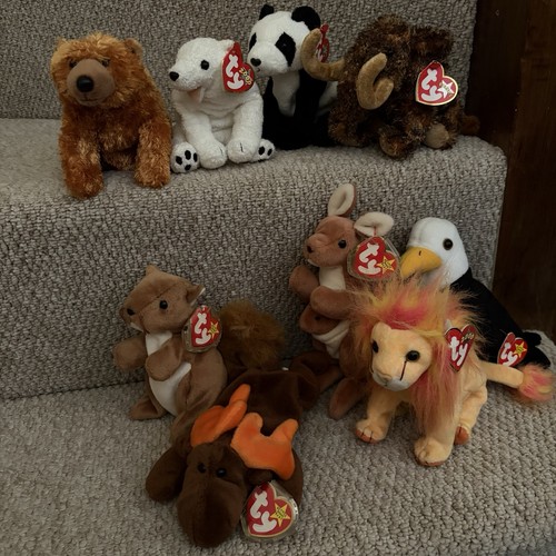 Beanie babies collection - collection,