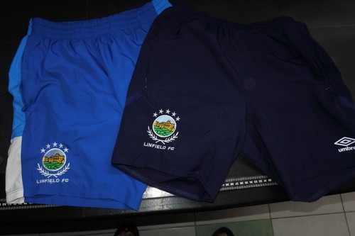 Linfield adults s mint - linfield,