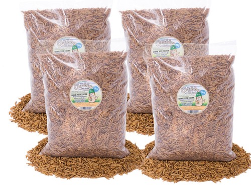20kg chubby dried black - dried,