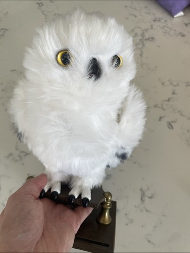 Wizard world enchanting hedwig - world,