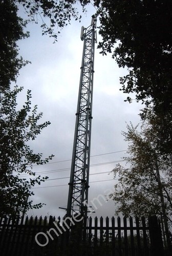 Photo 6x4 mast north - photo, camp