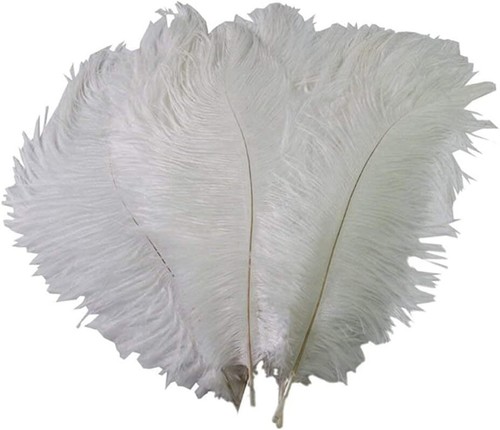 50pcs natural ostrich feathers - natural,