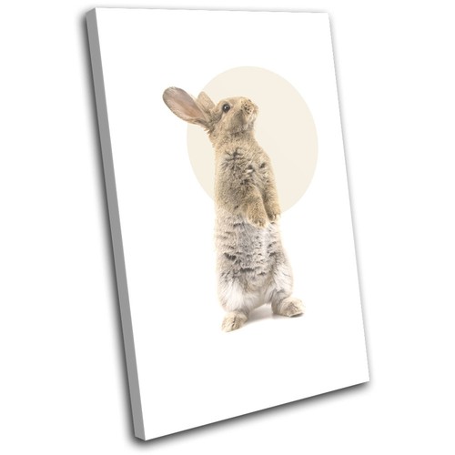 Rabbit hare modern abstract - modern,