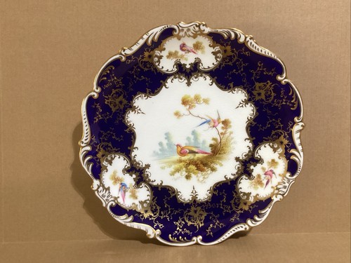 Antique coalport porcelain - antique,