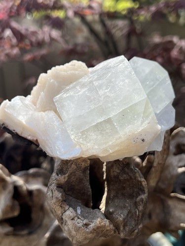 Green multi cubic apophyllite - cubic,