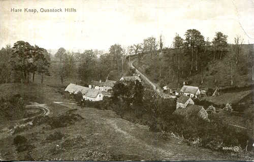 1901 postcard hamlet hare - hamlet, of