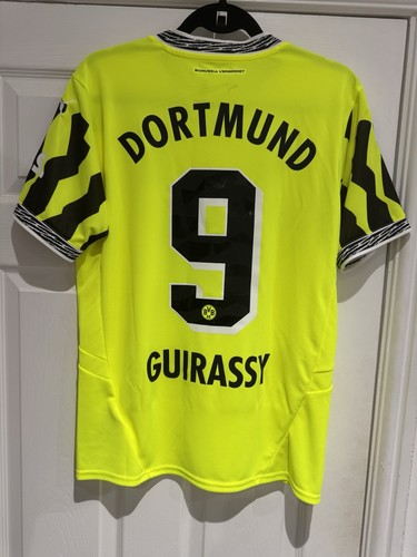 Borussia dortmund 2024 - dortmund, 2024/25