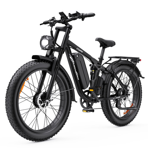 48v 23ah dual motor electric - 23ah,