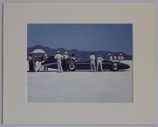 Bluebird bonneville jack - by,
