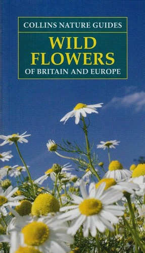 Wild flowers britain - wild,