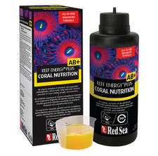 Red Sea Reef Energy Plus Coral