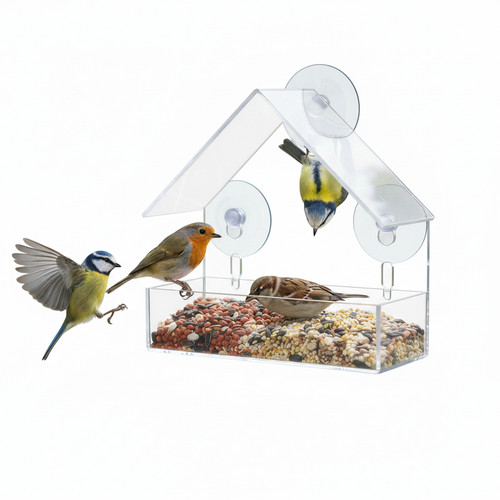 Glass window bird feeder - bird,