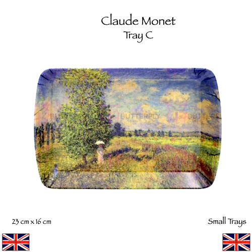 Melamine small snack cake tray - small,