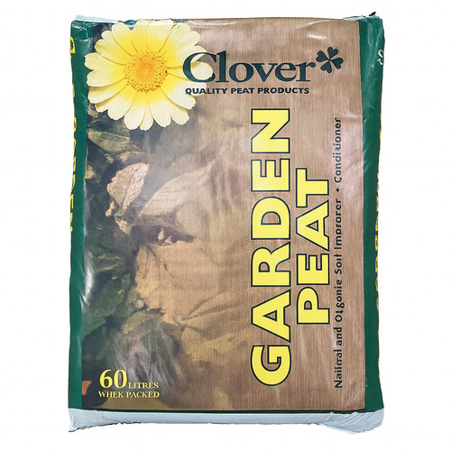 Litre clover irish moss - irish,