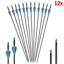 12 Fibreglass Archery Arrows
