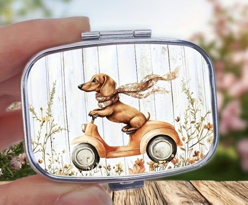 Dachshund sausage dog riding - dachshund,