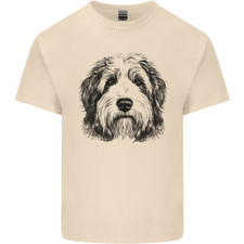 An Old English Sheepdog Dog