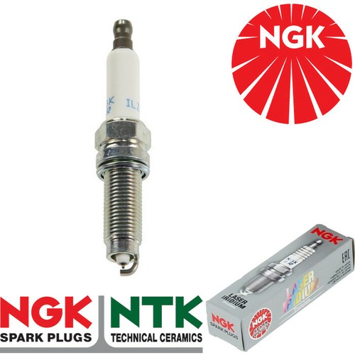 Ngk spark plug - plug,