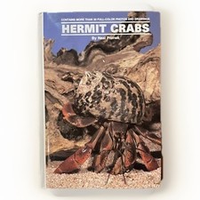 Land Hermit Crabs By Neal