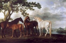 George Stubbs Mares & Foals 5