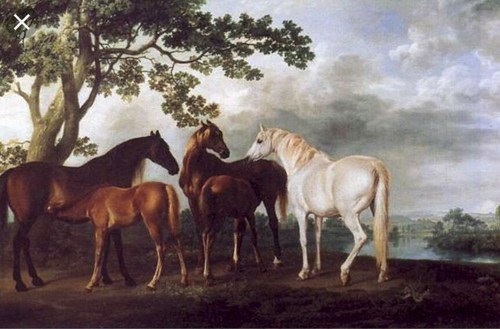 George stubbs mares - george, &