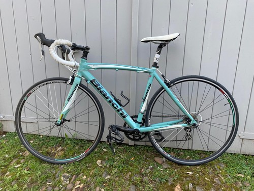 Bianchi via nirone dama - via,
