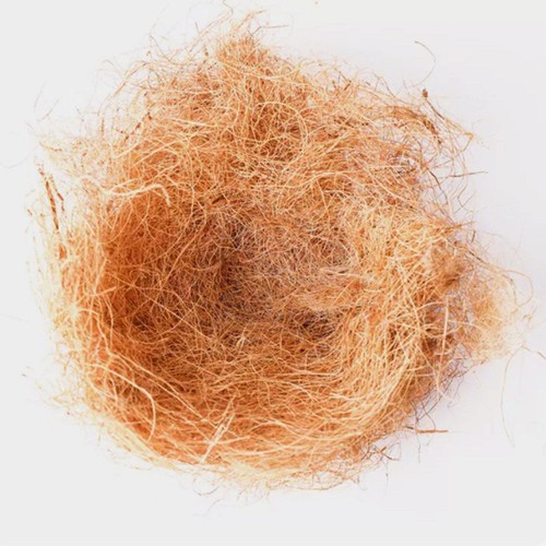 Bird nesting pad nest - pad,