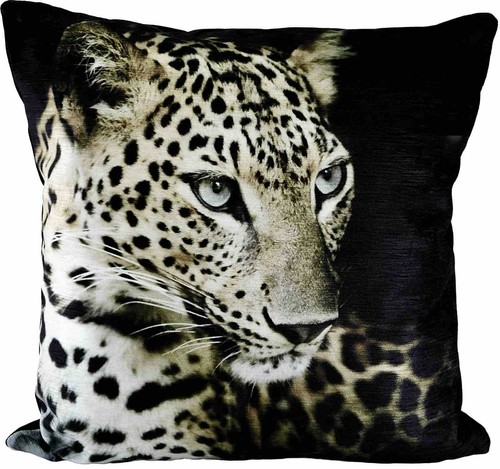 Evans lichfield leopard - evans,