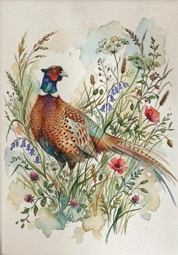 Large size botanical - size, pheasant