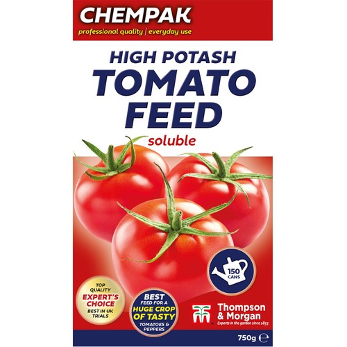 Chempak tomato plant - tomato,
