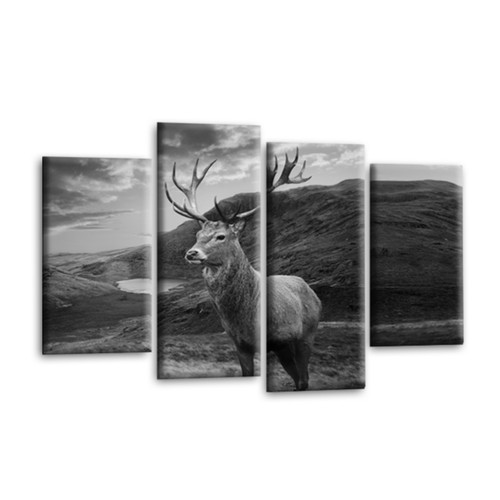 Scottish highland stag wall - scottish,