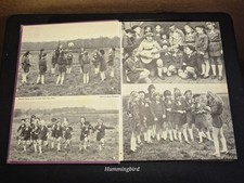 THE BROWNIE Annual 1973  Has